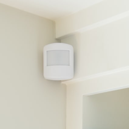 Brownsville motion sensor