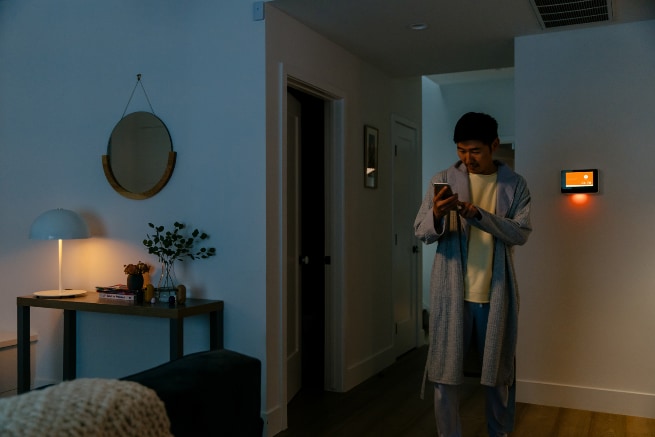 Vivint Brownsville smarthome automation